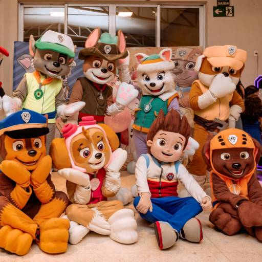 Patrulha Canina Para Festa Infantil 