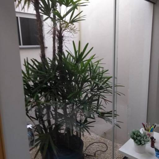 Corporal Fisioterapia & Odontologia. por Top Vidros