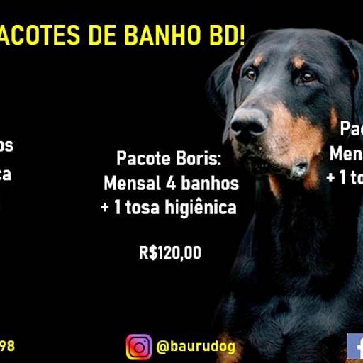 Comprar o produto de Pacote Pingo em Pet Shop pela empresa Bauru Dog em Bauru, SP por Solutudo