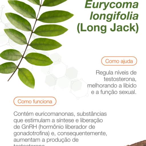 Long Jack 250 mg 30 cápsulas em Atibaia, SP por Farmalu - Farmácia de Manipulação