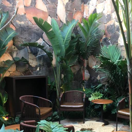 Agora é a vez das Pedras!!!Complementando o trio de elementos da natureza integrados aos espaços construídos e decorados! por Atri Arquitetura e Engenharia