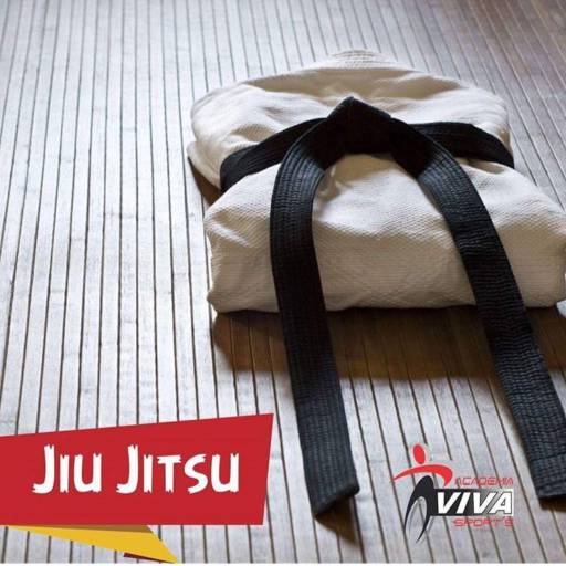 Aulas de Jiu-Jitsu por Academia Viva Sports - Unidade 2