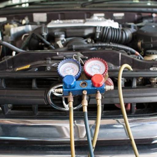 CARGA  DE GÁS AR CONDICIONADO E HIGIENIZAÇÃO  VEICULAR