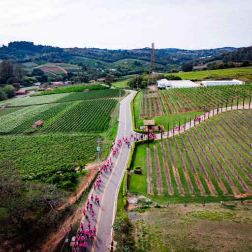 Serviço de Drone Para Eventos