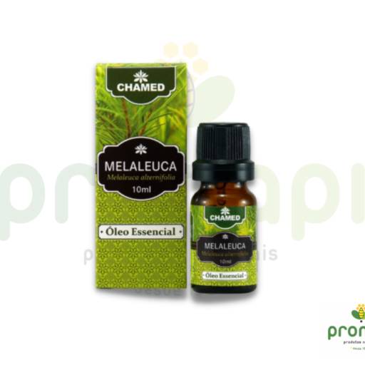 Comprar o produto de Óleo Essencial Melaleuca Tea Tree Chamed 10ml em Óleos Essenciais pela empresa Pronapi Produtos Naturais em Foz do Iguaçu, PR por Solutudo
