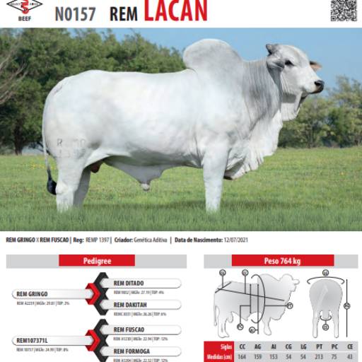 Touro Nelore Rem Lacan (N0157)
