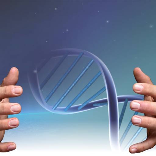 Cura Reconectiva por Viva Bem Espaço Holístico