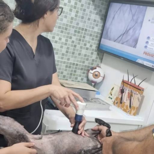 exame específico para visualização de  alterações na pele