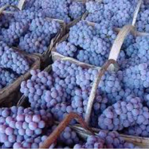 Uva niagara direto do produtor por Quitanda da Vila 