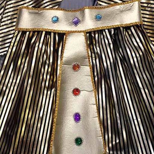 Faraó adulto (tamanho único) em Tietê, SP por Fantasia & Folia