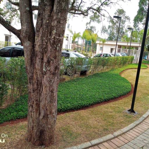 Corte de grama em São Lourenço da Serra, SP por Vgs Jardinagem