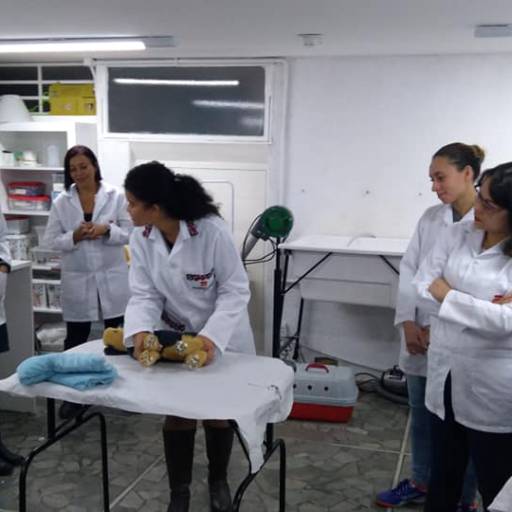 CURSO DE AUXILIAR DE VETERINÁRIO E PET SHOPS por Projeta Cursos Profissionalizantes 