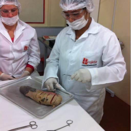 CURSO DE AUXILIAR DE VETERINÁRIO E PET SHOPS por Projeta Cursos Profissionalizantes 