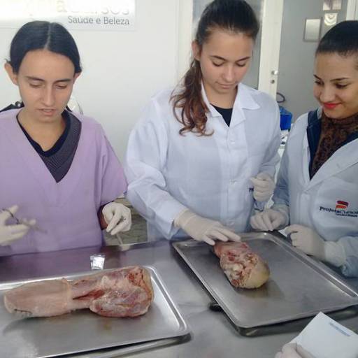 CURSO DE AUXILIAR DE VETERINÁRIO E PET SHOPS por Projeta Cursos Profissionalizantes 