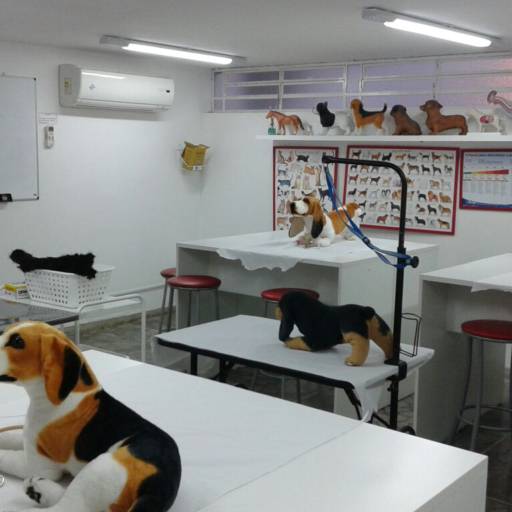 CURSO DE AUXILIAR DE VETERINÁRIO E PET SHOPS por Projeta Cursos Profissionalizantes 