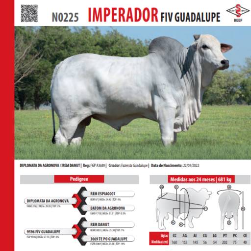 Touro Nelore Imperador FIV Guadalupe (N0225)