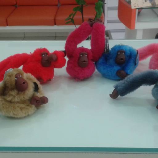 Kipling 3064 por Ótica Foco