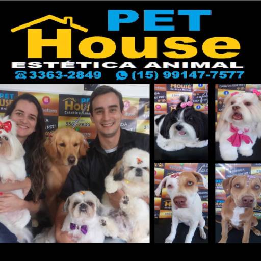 Pet House, o lugar onde você deixa seu bichinho e ele será cuidado como filho!  por Pet House Estética Animal