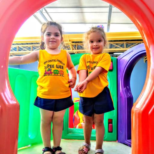 Alunos por Infantilândia Pee Wee