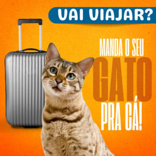 Hotel para Gatos 