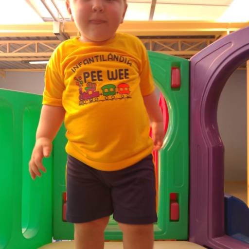 Alunos por Infantilândia Pee Wee