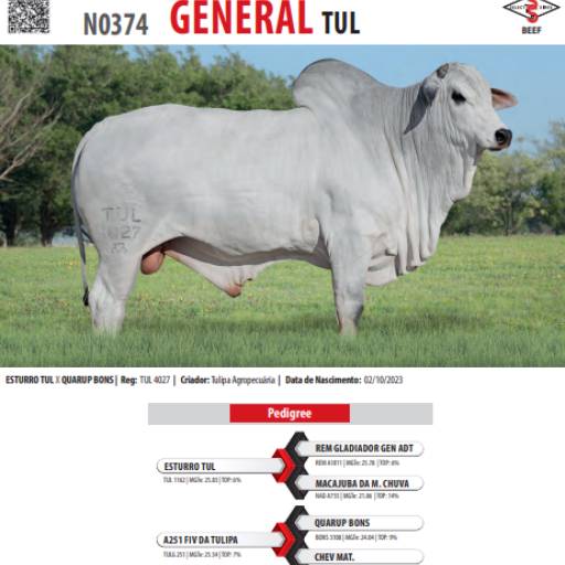 Touro Nelore General TUL (N0374)