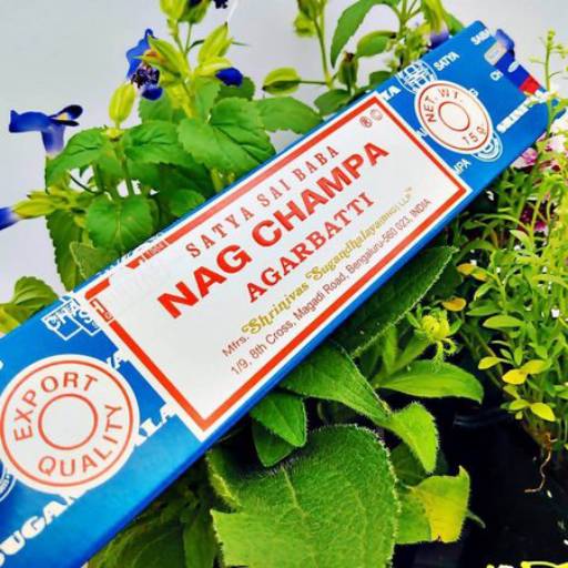 Comprar o produto de Incenso Nag Champa Porto Alegre em Incensos pela empresa Eu Esotérico  em São Paulo, SP por Solutudo