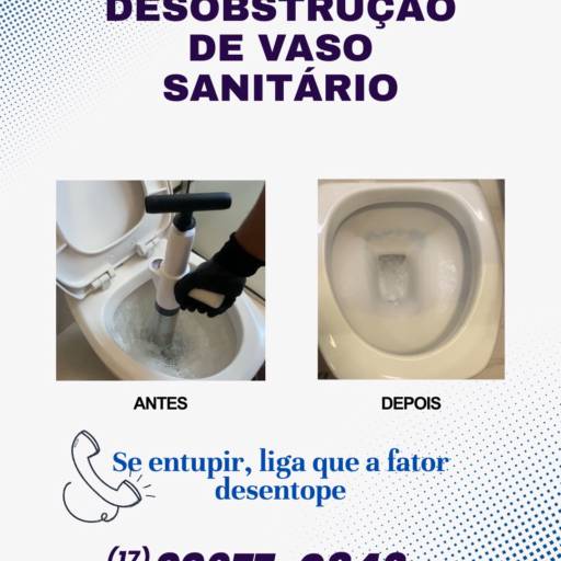 Desobstrução de vaso sanitário e mictório 