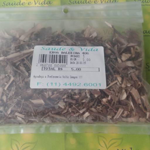 Erva baleleira por Saúde e Vida
