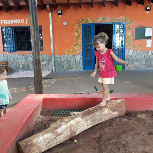 Comprar o produto de Selva em Educação pela empresa Escola Quintal da Anita em Bauru, SP por Solutudo