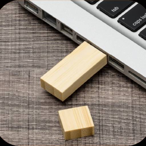 Pen Drive Bambu 4gb/8gb/16gb
