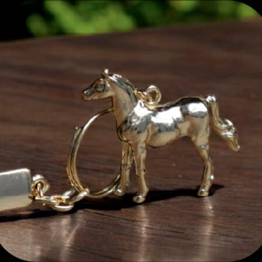 Chaveiro Tipo Ouro Cavalo