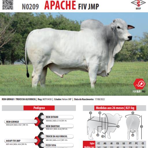 Touro Nelore Apache FIV JMP (N0209)