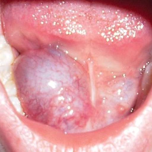 Estomatologia  e Diagnóstico Oral