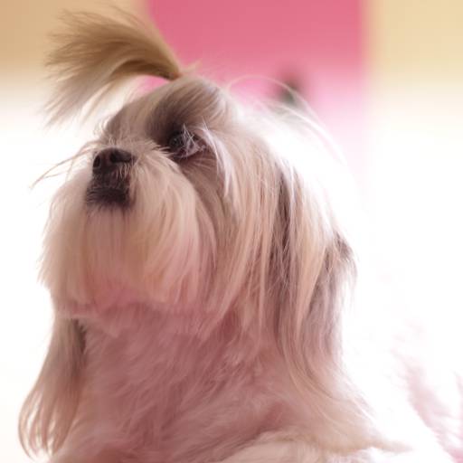 book de animais de estimação por Albert San Martin