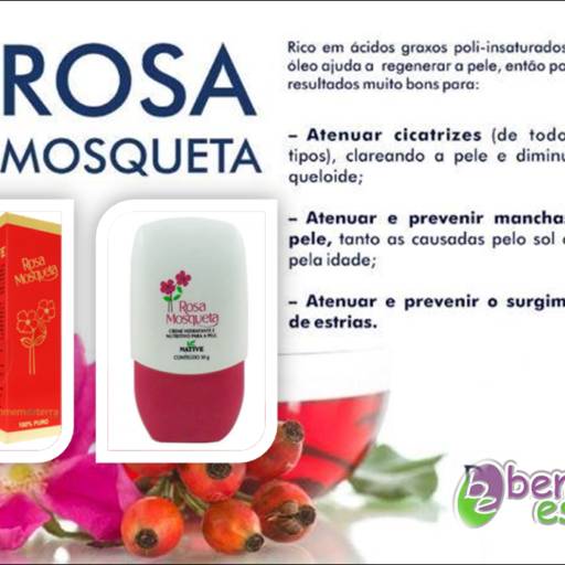 Comprar o produto de Rosa Mosqueta em Cosméticos e Cuidado Pessoal pela empresa Bem Estar Produtos Naturais em Praia Grande, SP por Solutudo
