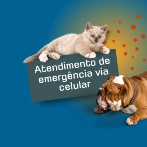 Atendimento de Emergência via Celular por Padovet Clínica Veterinária - Banho e Tosa - Hotel Pet