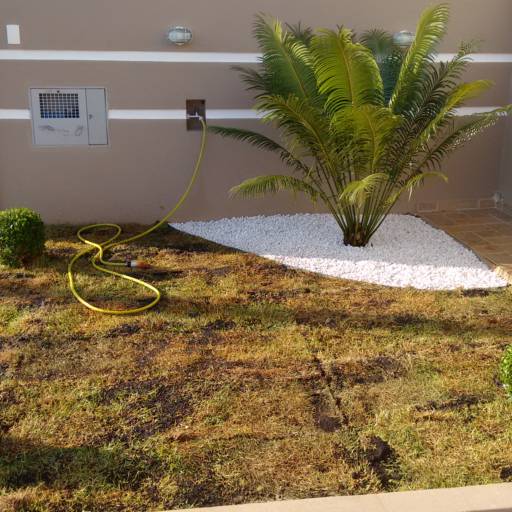 Manutenção de jardim, paisagismo em geral por Paraíso Jardim - Serviços de Paisagismo