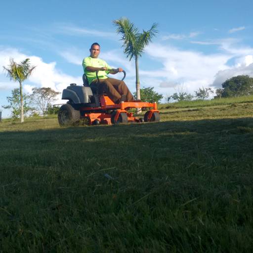 Manutenção de jardim, paisagismo em geral por Paraíso Jardim - Serviços de Paisagismo