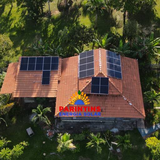 Parintins - Comunidade Parananema