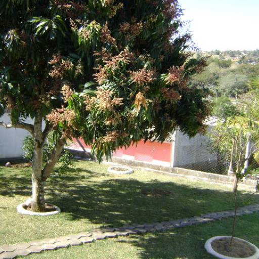 Chácara Jardim Leonor, Itatiba por Solutudo