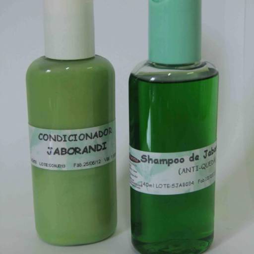 Shampoo e Condicionador de Jaborandi por Solutudo