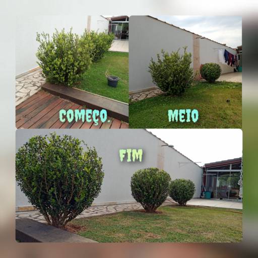 Pequenas Podas  em São Lourenço da Serra, SP por Vgs Jardinagem