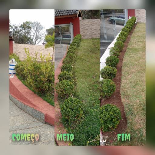 Pequenas Podas  em São Lourenço da Serra, SP por Vgs Jardinagem