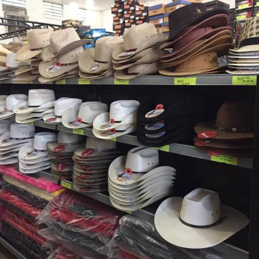 Diversos modelos de chapéus ! por Multi Tec