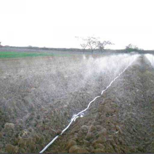 Mangueira Santeno rolo 100 metros em Lençóis Paulista, SP por Hidro Lençóis Tecnologia em Irrigação 