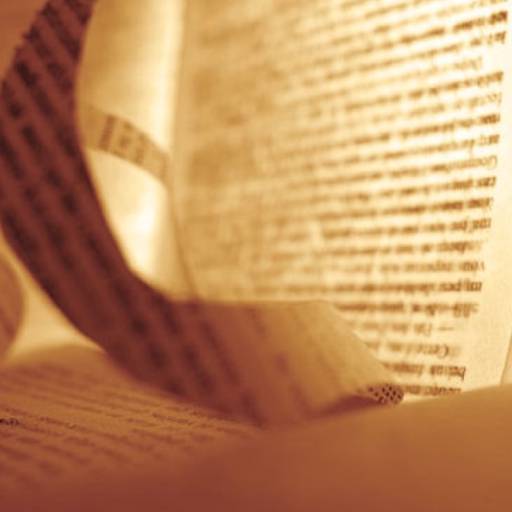 Pós Graduação EAD em Ensino de Língua e Literaturas de Língua Portuguesa