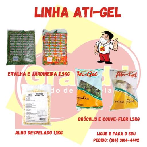 LINHA ATI-GEL DE CONGELADOS