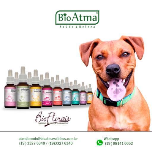 Bioflorais para Animais por BioAtma