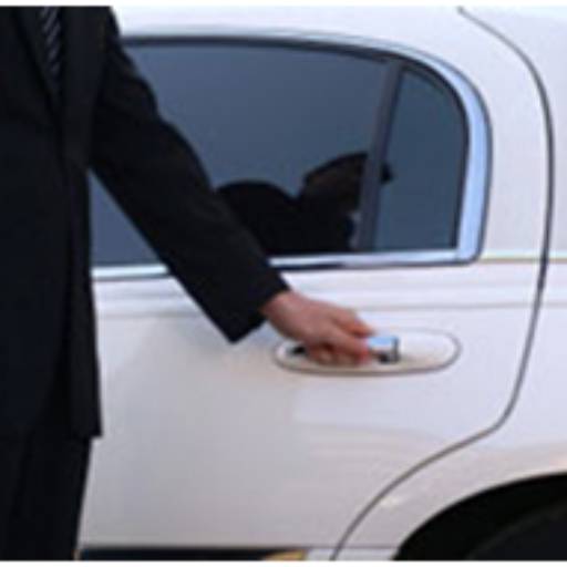 Motorista Particular por Antônio Marido de Aluguel